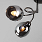 Светильник Eurosvet 30171/4 черный жемчуг